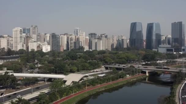 Sao Paulo Brezilya Şehri Pinheiros Bulvarı Pinheiros Nehri — Stok video