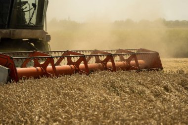 Buğday tarlasını hasat eden ekin biçme makinesini birleştirin. Tarım. Buğday hasat eden hasatçıyı toz samanıyla birleştirin. Heagy tarım makineleri.