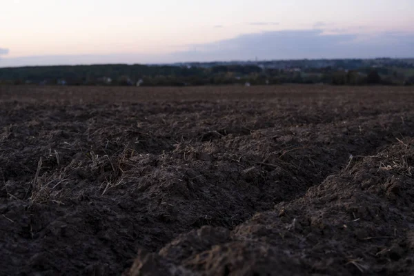 Świeżo zaorana czarna bogata gleba na polu o zachodzie słońca. — Zdjęcie stockowe