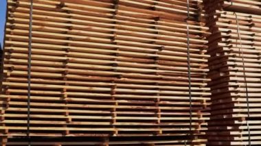 Dışarıdaki bir kereste fabrikasının tahtalarını kesmek için depo. Kereste fabrikası, kereste fabrikası. Planlı ahşap tahtaların deposu. Kereste fabrikasındaki tahta yığınları. Planking. Sanayi.