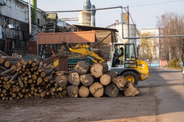 LUTSK, UKRAINE - 10 Mayıs 2020: Yellow wheel loader Excavator machine kereste fabrikasında çalışıyor.