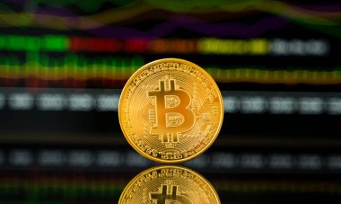 Grafik çizelgesi olan altın para. Kripto para değişimi ticareti. Kripto para birimi borsa konsepti. Sanal para konsepti. Madencilik ya da engelleme teknolojisi.