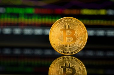 Grafik çizelgesi olan altın para. Kripto para değişimi ticareti. Kripto para birimi borsa konsepti. Sanal para konsepti. Madencilik ya da engelleme teknolojisi.