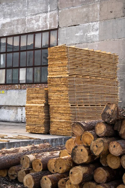 Przechowywanie stosów drewnianych desek na tartaku. Deski są ułożone w stolarni. Suszenie i obrót drewnem. Drewno sosnowe do produkcji mebli, budownictwa. Przemysł drzewny. — Zdjęcie stockowe