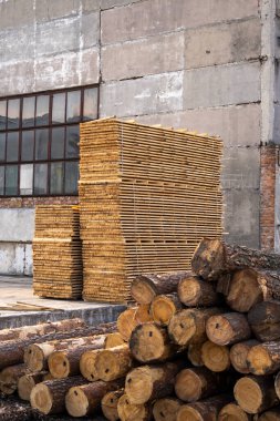 Kereste fabrikasında odun yığınları var. Tahtalar bir marangoz dükkanına istiflenmiş. Tahta kesme ve pazarlama. Mobilya üretimi ve inşaat için çam kerestesi. Kereste Endüstrisi.