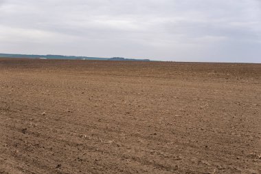 Bulutlu gökyüzünün altında saf bir tarla..