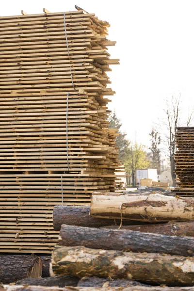 Stoccaggio di mucchi di tavole di legno sulla segheria. Le assi sono impilate in una falegnameria. Segatura essiccazione e commercializzazione del legno. Legname di pino per la produzione di mobili, costruzioni. Industria del legname. — Foto Stock