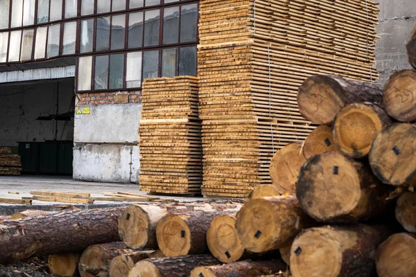 Lagring av högar av träskivor på sågverket. Brädorna är staplade i en snickarbod. Sågning torkning och saluföring av trä. Tall virke för möbeltillverkning, konstruktion. Träindustri. — Stockfoto