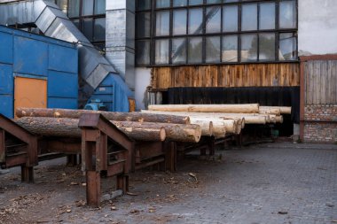 Kereste fabrikasında odun yığınları var. Tahta kesme ve pazarlama. Mobilya üretimi ve inşaat için çam kerestesi. Kereste Endüstrisi.