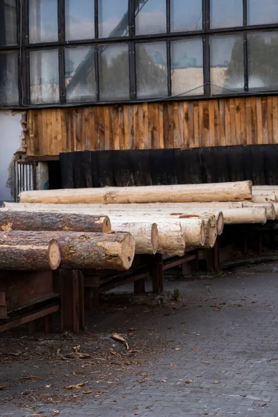 Przechowywanie stosów drewnianych desek na tartaku. Suszenie i obrót drewnem. Drewno sosnowe do produkcji mebli, budownictwa. Przemysł drzewny. — Zdjęcie stockowe
