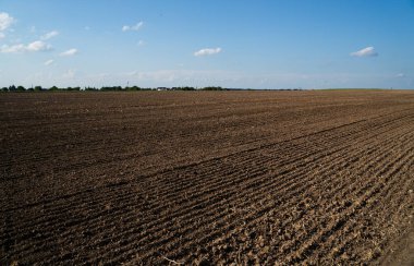 Uçsuz bucaksız tarlalar, parlak gökyüzünün altında zengin kahverengi topraklar. Tarımsal arka plan kırsal kesimlerde ekim mevsimi hazırlıklarını gösteriyor.