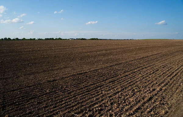 Uçsuz bucaksız tarlalar, parlak gökyüzünün altında zengin kahverengi topraklar. Tarımsal arka plan kırsal kesimlerde ekim mevsimi hazırlıklarını gösteriyor.