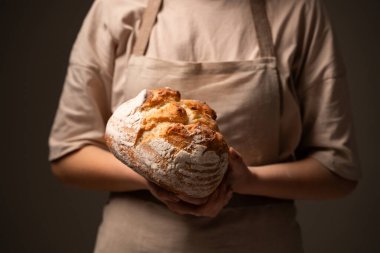 Bej önlüklü bir fırıncının kabuklu bir ekşi mayalı somunu tutarken yakın çekimi. Ilık ışıklandırma dokuyu ve el yapımı kaliteyi vurgular.