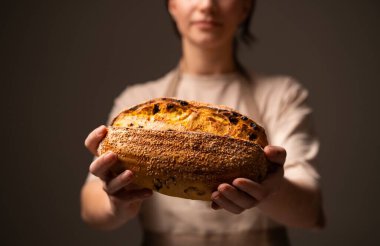 Tohumlu taze zanaatkar somunu, altın kabuğu ve sıcak stüdyo ışıklandırmasında bir fırıncı tarafından öne sürülen kırsal el yapımı dokusu..