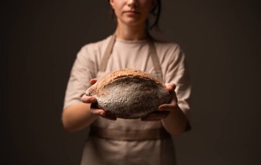 Bir kadın fırıncı, kırsal el yapımı ekmek sunar. Çatlak kabuklu ve un kaplamalı. Sıcak stüdyo ışığında fotoğraf çekilir..