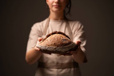 Kadın fırıncı elinde el yapımı bir sade ekmek tutuyor. Geleneksel pişirme, organik ekmek üretimi ve kadın liderliğindeki zanaatkar fırın işi kavramı.