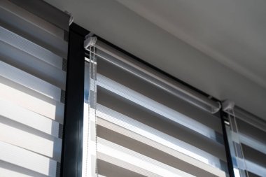 Zebra penceresinin yakın görüntüsü gün ışığını filtreleyen küçük iç tasarım, temiz dokular ve arka plan ve tasarım kavramları için uygun modern mimari detaylar.