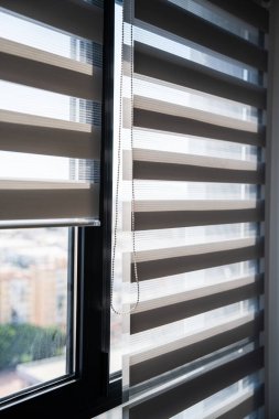 Zebranın yakın görüntüsü, iç tasarım, arka plan kullanımı ve gizlilik kavramları için ideal yatay ışık çizgileri ve yumuşak dokuları tekrarlayan formlar oluşturur..