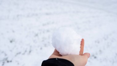 Açık, karlı bir kış tarlasında pofuduk bir kartopunu tutan bir elin yakın çekimi. Yumuşak doğal ışıkla en az temiz mevsimsel bileşim.