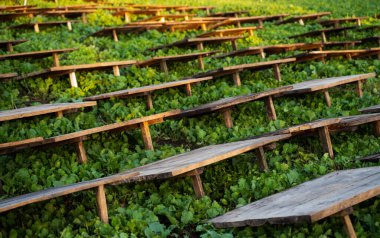 Salyangoz çiftçiliğinde kullanılan ahşap tahtaların yakın çekimi. Salyangozlar için barınak ve nem yaratıyor. Heliklorür, organik tarım ve yenilebilir salyangoz yetiştirme kavramı..