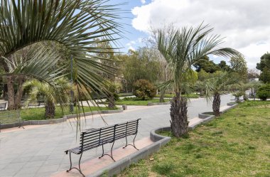 Adrano, Catania Eyaleti, Sicilya, İtalya 'daki Villa Comunale Doğal Manzaraları.