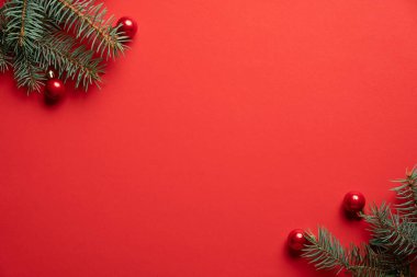 Noel ağacı dalları ve kırmızı arka planda kırmızı toplar. Noel tebrik kartı, çerçeve, afiş modeli. Düz konum, üst görünüm, kopyalama alanı.