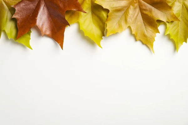 由秋天枫叶制成的框架顶部边缘被白色背景隔离 秋天的概念 — 图库照片
