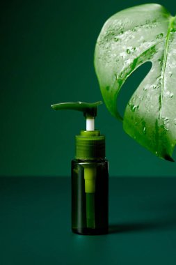 Yeşil arka planda temiz yeşil şişe maketi ve canavar yaprağı. Doğal organik güzellik ürünü ambalaj tasarımı Doğa kozmetik.