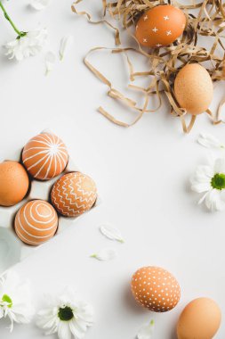 Mutlu Paskalya kompozisyonu samanların içinde Paskalya yumurtaları ve beyaz arka planda bahar çiçekleri. Düz, üst görünüm, dikey