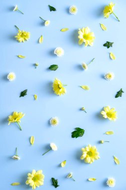 Mavi arka planda sarı çiçekli yaratıcı düz kompozisyon. Çiçek deseni. Düz konum, üst görünüm, kopyalama samanlığı.