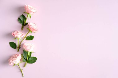 Pembe arka planda gül çiçekleri. Anneler Günü veya doğum günü için tebrik kartı maketi..