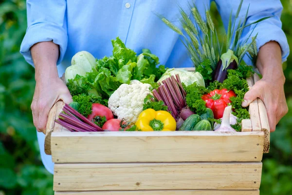 Mujer Campesina Sosteniendo Caja Madera Llena Verduras Frescas Crudas Jaula — Foto de Stock