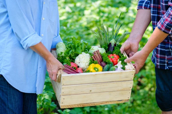 Mujer Hombre Sosteniendo Caja Madera Con Verduras Frescas Concepto Cosecha — Foto de Stock