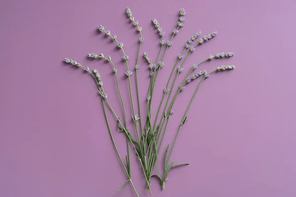 Lavendel Blommor Lila Bakgrund Platt Ligg Ovanifrån — Stockfoto