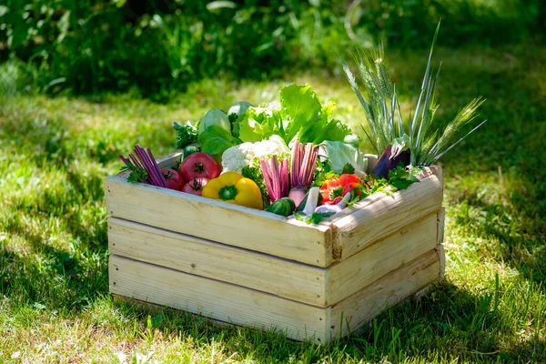 Caja Madera Verduras Frescas Sobre Hierba Verde Concepto Cosecha — Foto de Stock