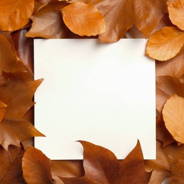 Sonbahar yaprakları ve boş kağıt kartı çerçevesi. Crative düz kompozisyon. Üst Manzara. Şükran Günü tebrik kartı düzenleme..