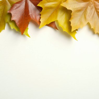 Sonbahar akçaağaç yapraklarından yapılmış çerçeve sınırı. Üst manzara, düz uzanma.