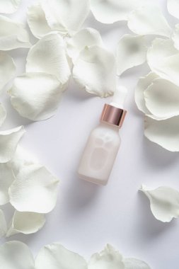 Beyaz arka planda yüz serumu ve gül yaprakları olan bir şişe. Düz yatış, üst görünüm.