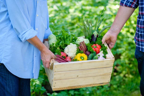 Agricultores Sosteniendo Caja Madera Llena Verduras Crudas Concepto Cosecha — Foto de Stock