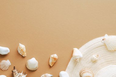 Düz yaz kompozisyonu, hasır şapka ve kumlu arka planda deniz kabukları. Üst görünüm, genel görünüm.