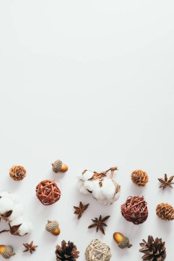 Autumn composition. Cotton, pine cones, acorns on white background. Flat lay, top view, copy space