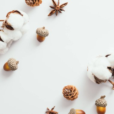 Autumn composition. Cotton, pine cones,, acorns on white background. Autumn, fall, thanksgiving day concept. Flat lay, top view, copy space