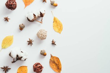 Autumn composition. Fallen leaves. cotton, decorations on white background. Autumn, fall, Thanksgiving concept. Flat lay, top view, copy space