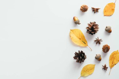 Sonbahar düz kompozisyonu. Çam kozalakları, yıldız anason, beyaz arka planda sarı yapraklar. Düz, üstten, üstten..