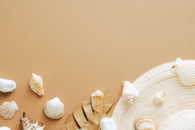 Hasır plaj şapkası, altın canavar yaprağı, kumlu arka planda deniz kabukları. Yaz düzlüğü kompozisyonu.