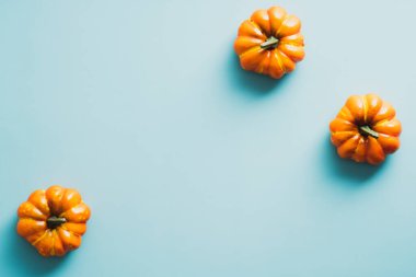 Düz turuncu balkabakları parlak mavi arka planda yatıyordu. Asgari düzeyde. Cadılar Bayramı ya da Şükran Günü konsepti.