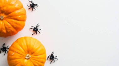 Beyaz masadaki balkabakları ve örümceklerle Cadılar Bayramı geçmişiniz kutlu olsun. Düz yerde, üst tarafta, tepede. Cadılar Bayramı pankartı tasarımı.