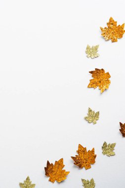 Sonbahar kompozisyonu. Beyaz arka planda altın akçaağaç yapraklarından yapılmış çerçeve. Düz yerde, üst tarafta. Asgari biçim.