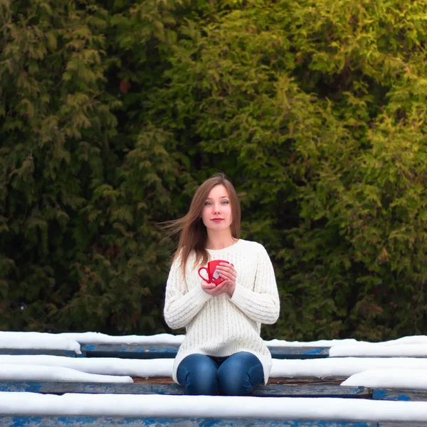 Retrato de uma menina bonita em um parque de inverno — Fotografia de Stock