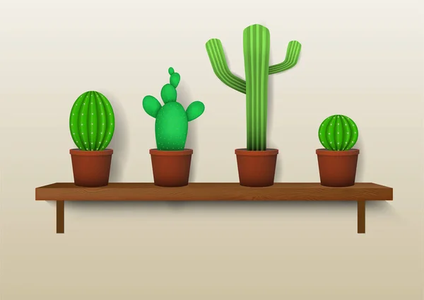Realista Varios Cactus Decorativos Los Estantes — Archivo Imágenes Vectoriales